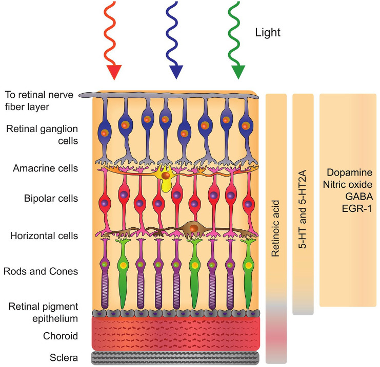 Figure 2.