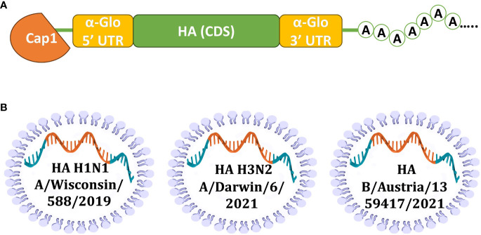 Figure 1