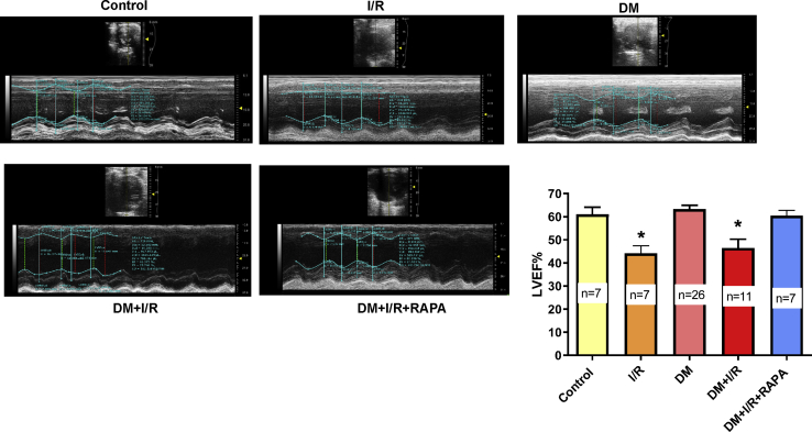 Figure 2