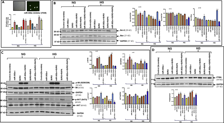 Figure 6