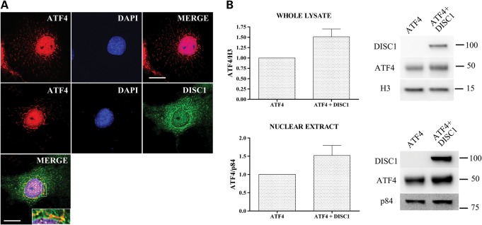 Figure 6.