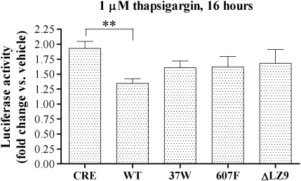 Figure 5.