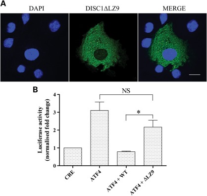 Figure 4.