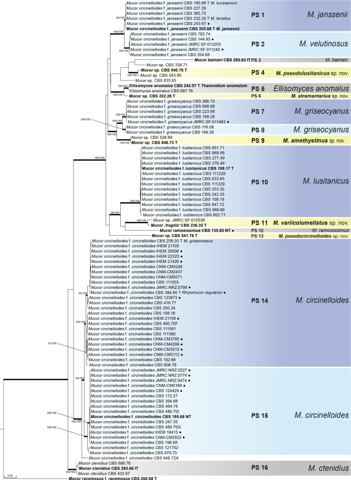 Fig. 2