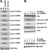 FIG. 3.
