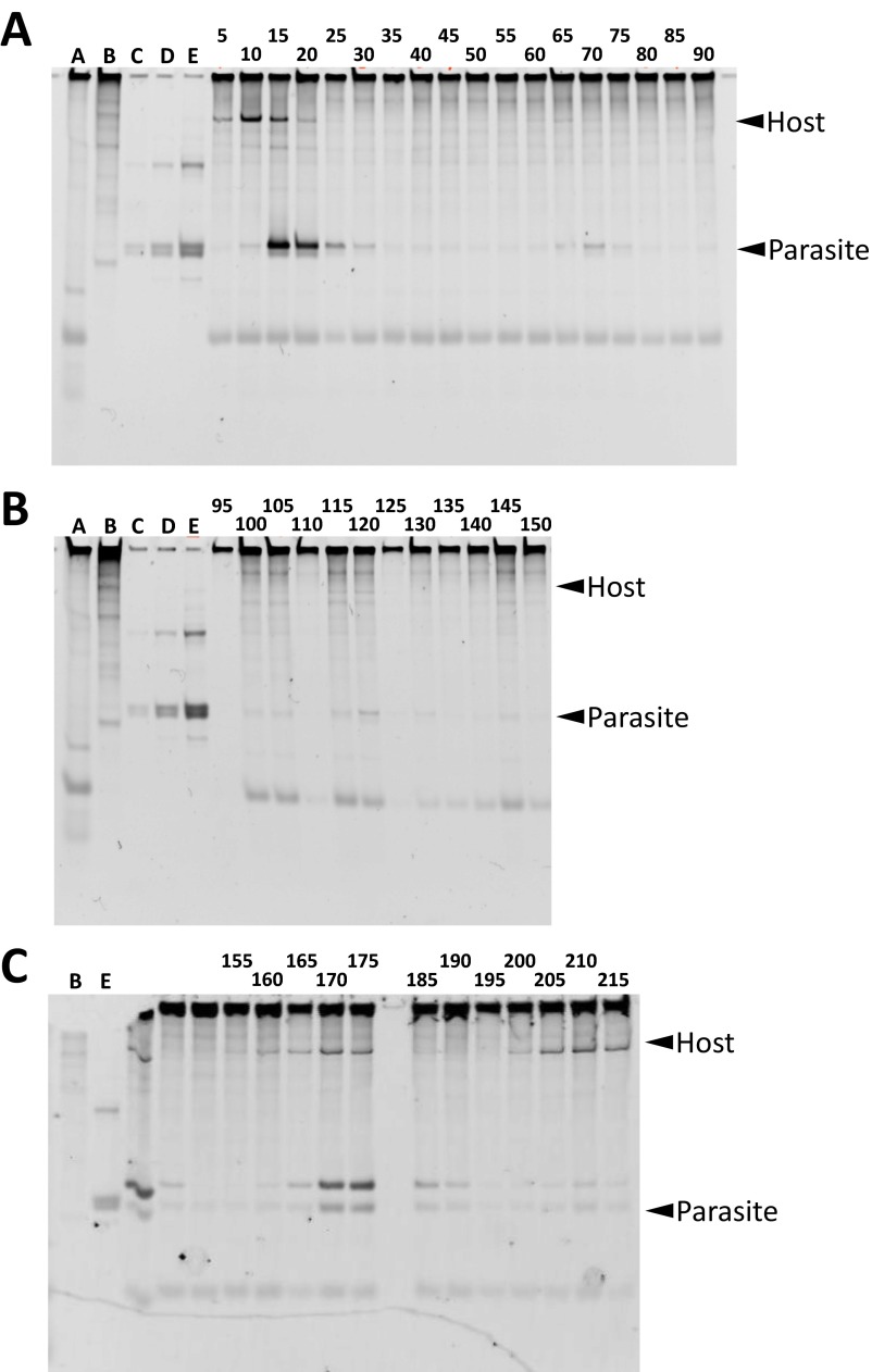 Fig. S4.