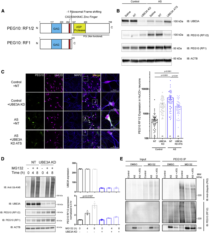 Figure 3