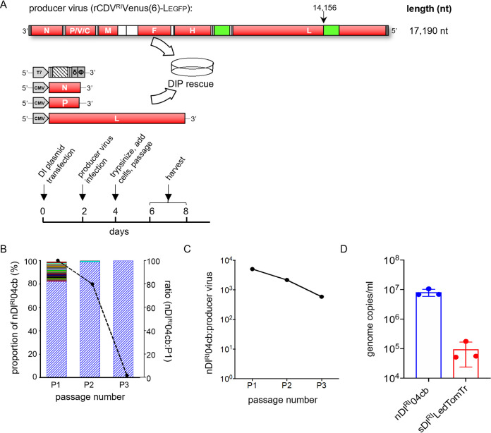 FIG 4