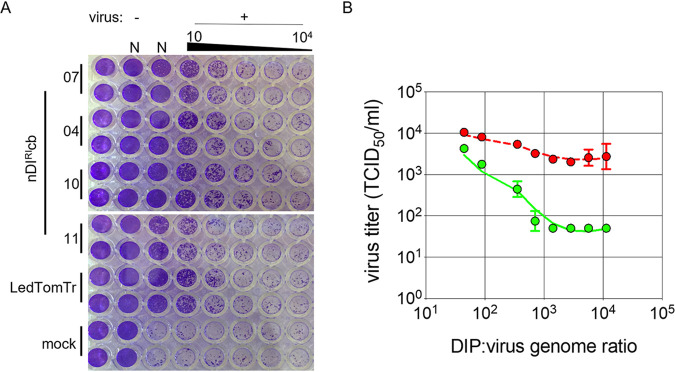 FIG 6