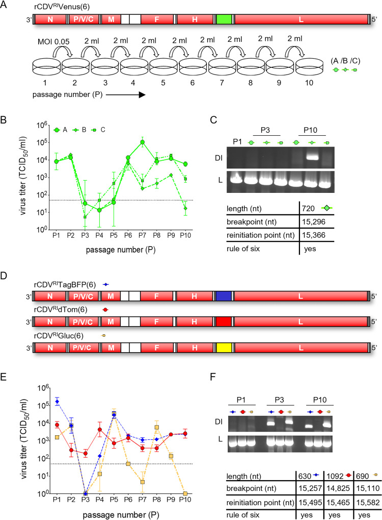 FIG 1