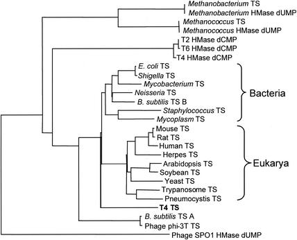 FIG. 11.