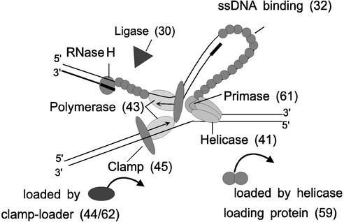 FIG. 7.