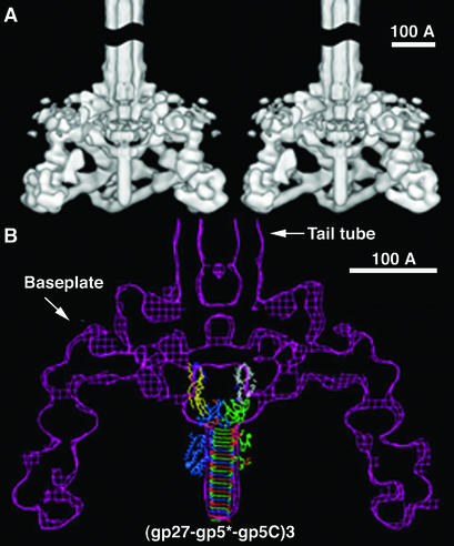 FIG. 9.