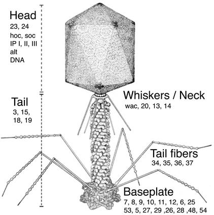 FIG. 8.