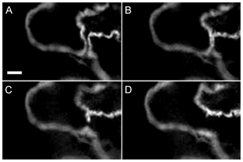 Fig. 3.