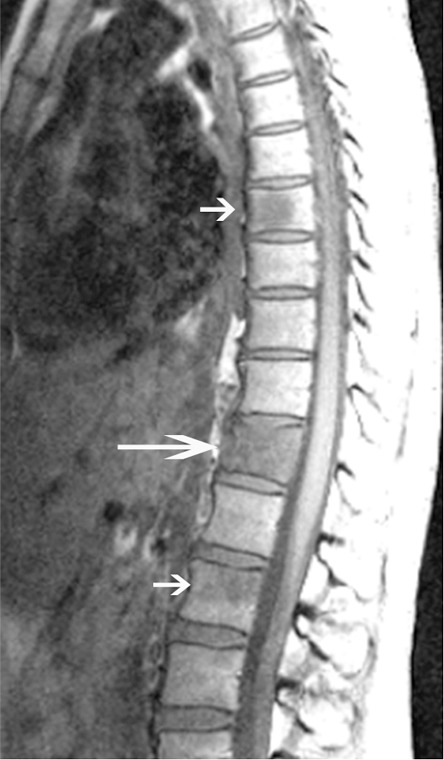 Figure 4a: