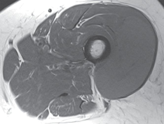 Figure 2a: