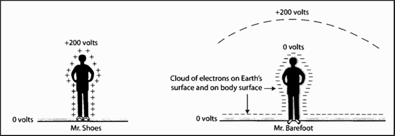 Fig. 8