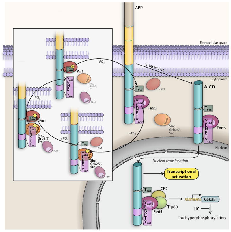 Fig. 3