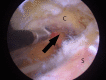 Fig 7