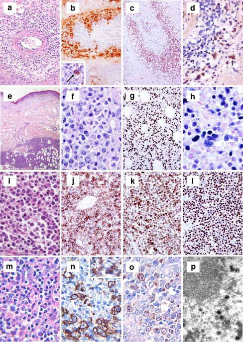 Fig. 7