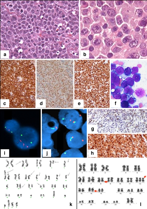 Fig. 1