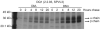 Fig.2