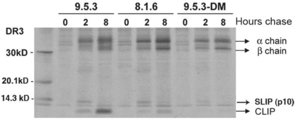 Fig.1