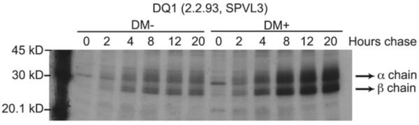 Fig.2