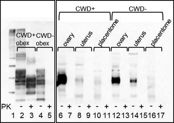 FIG 1