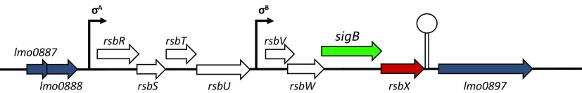 FIG 1