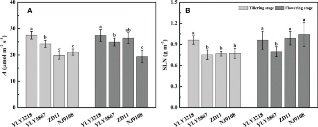 Figure 2
