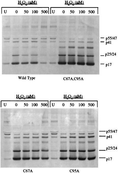 FIG. 6