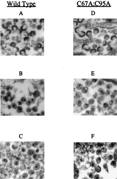 FIG. 7