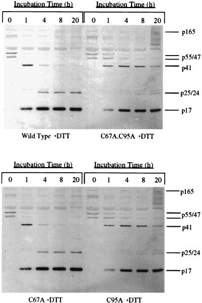 FIG. 4