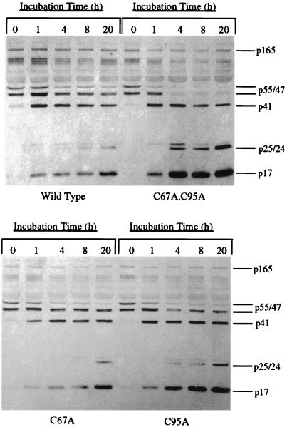 FIG. 3