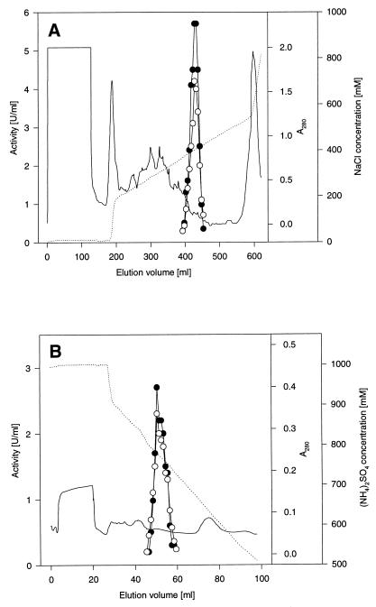 FIG. 7