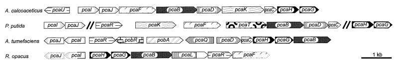 FIG. 8