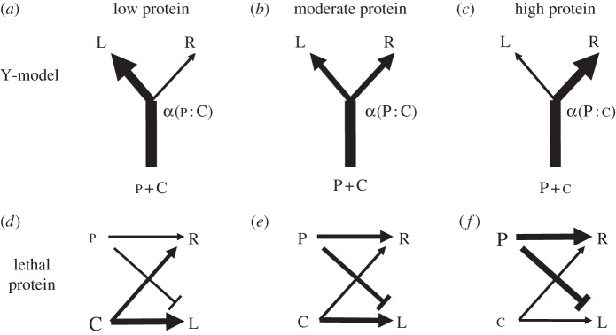 Figure 1.