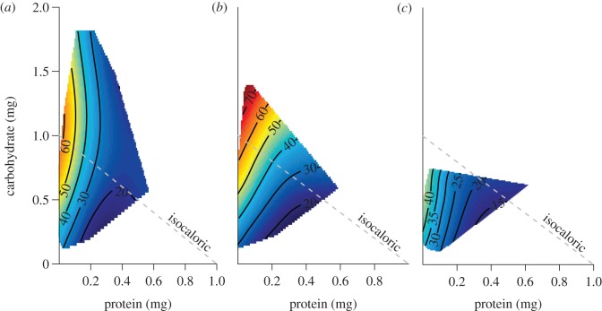 Figure 3.