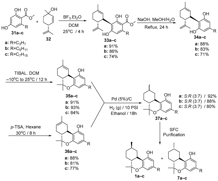 Scheme 5