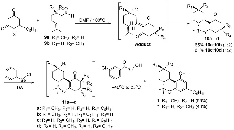 Scheme 1