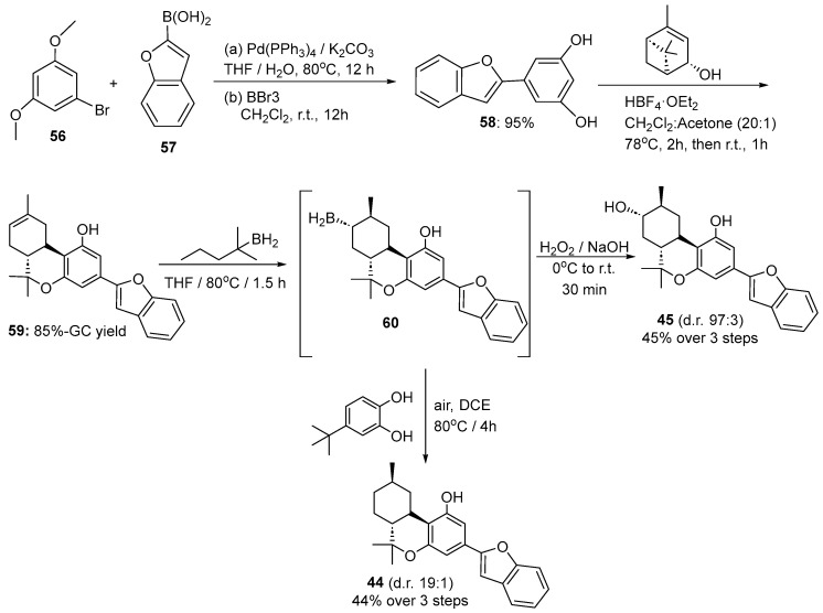 Scheme 8