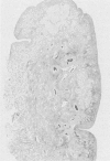 230