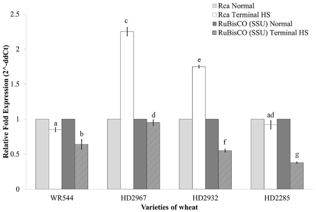 Figure 11