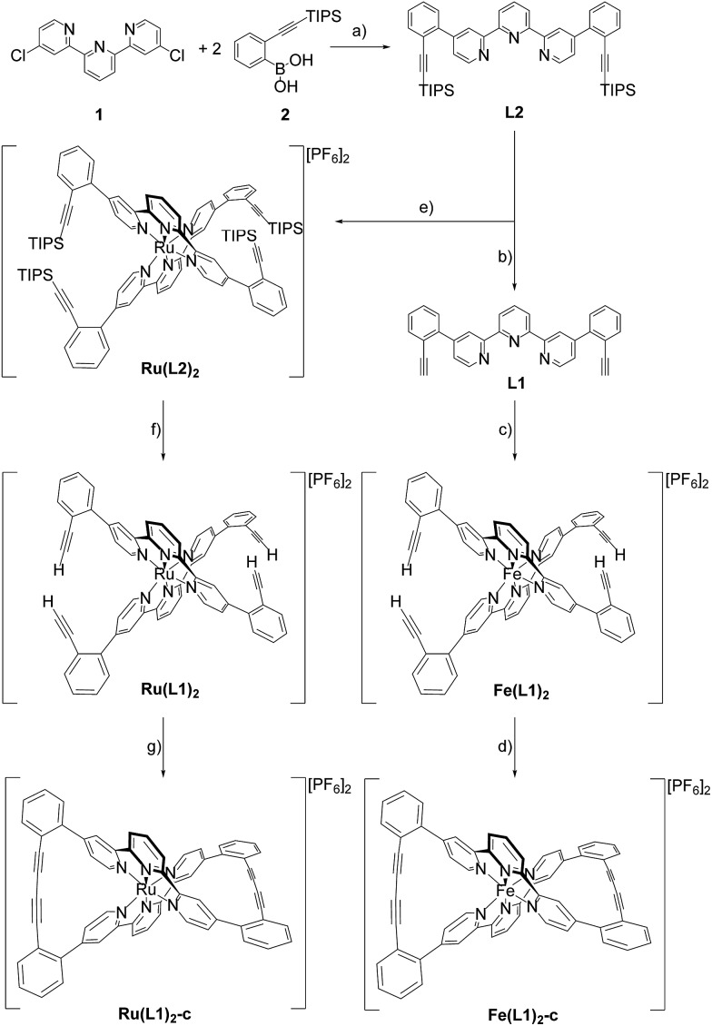 Scheme 1