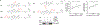 Extended Data Figure 5.