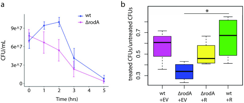 FIG 5