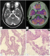 Fig. 3