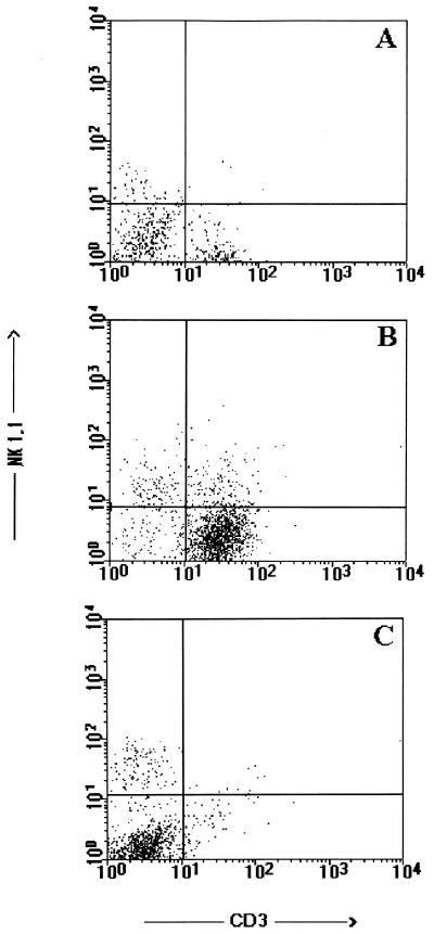 FIG. 8